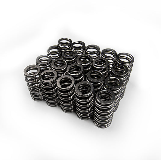 Ferrea Intake and Exhaust Valves and Valve Spring Kits for 2.5L 5 Cylinder