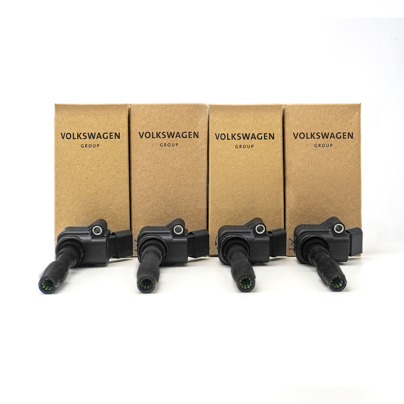 Load image into Gallery viewer, Genuine RS3/TTRS Ignition Coil Pack for EA888 Gen3 2.0TSI 06H905110L/P/G

